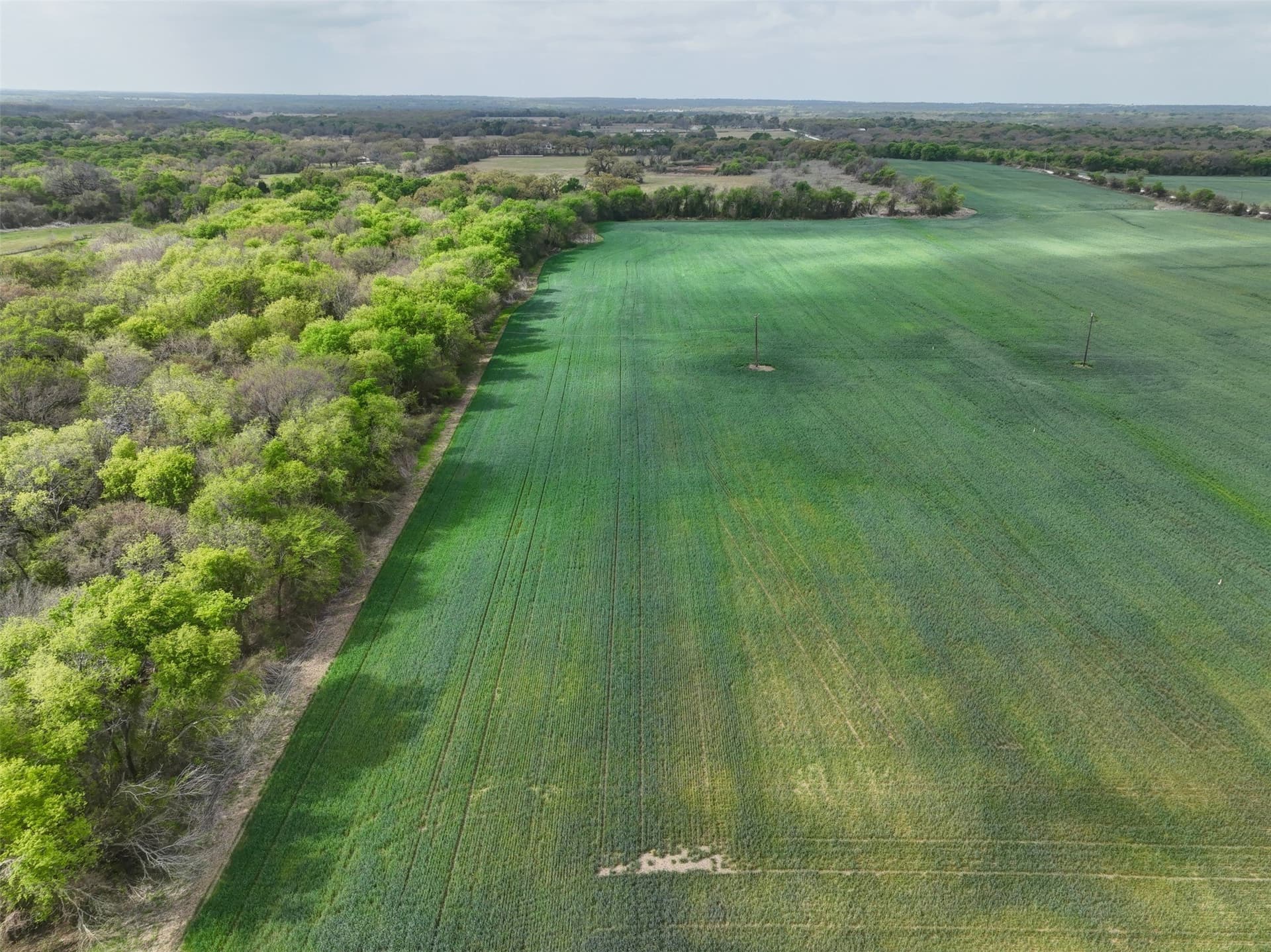 38.57 acres in Hill County - photo 6