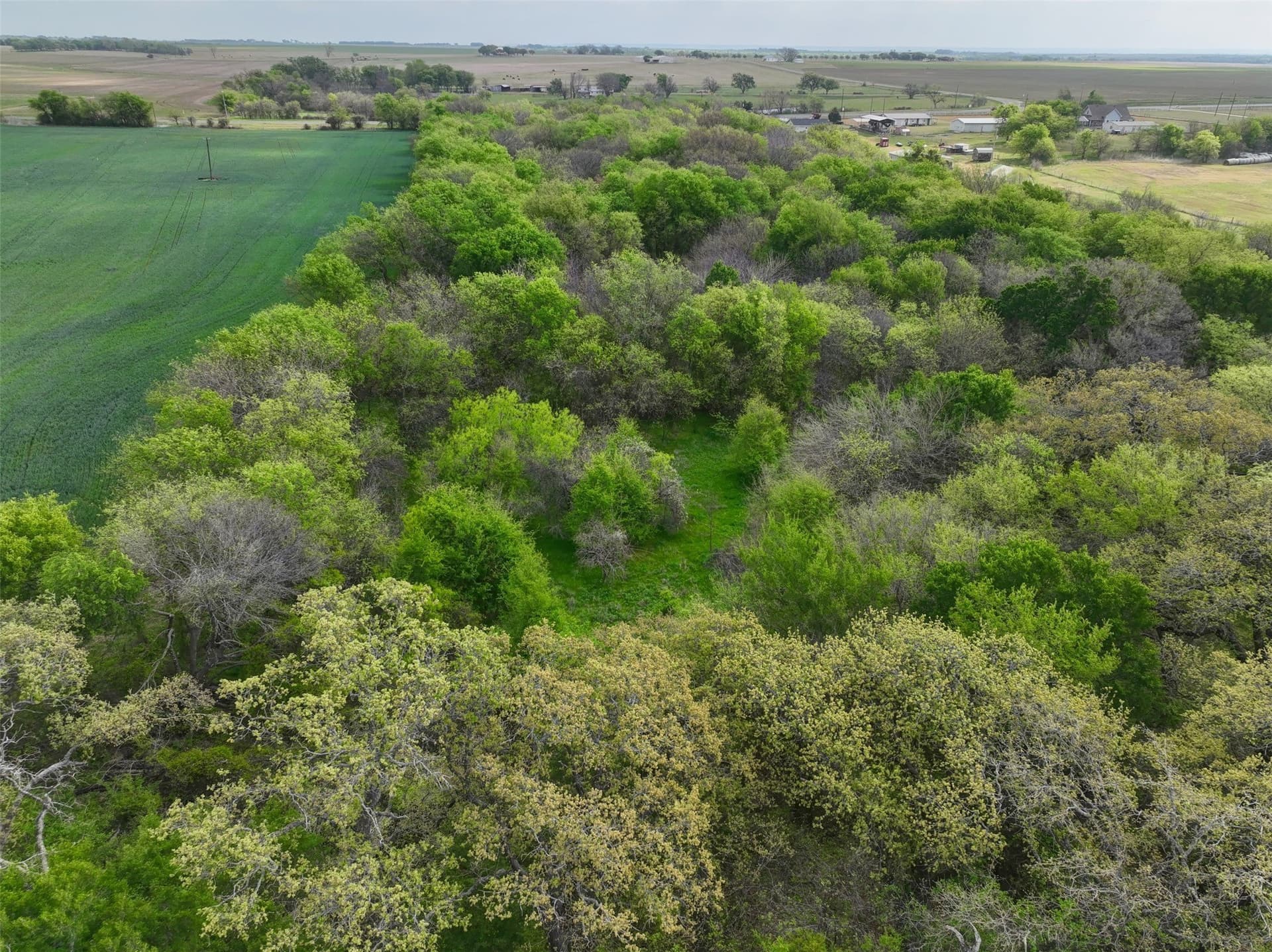 38.57 acres in Hill County - photo 12