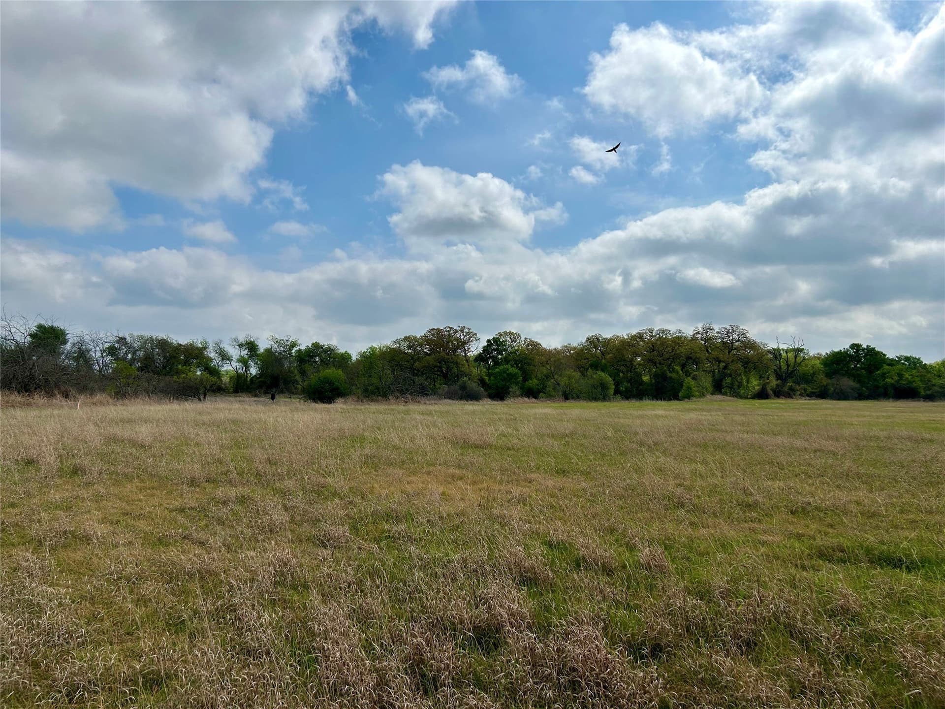 38.57 acres in Hill County - photo 19