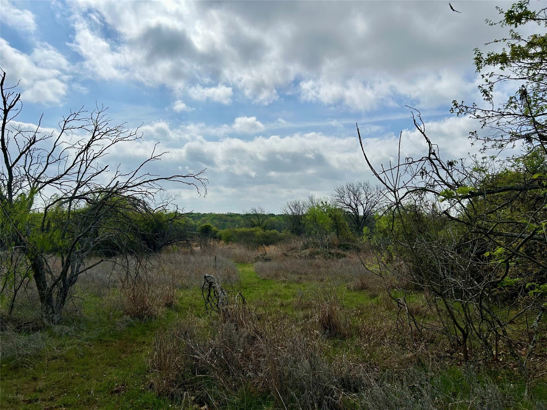 38.57 acres in Hill County - photo 17