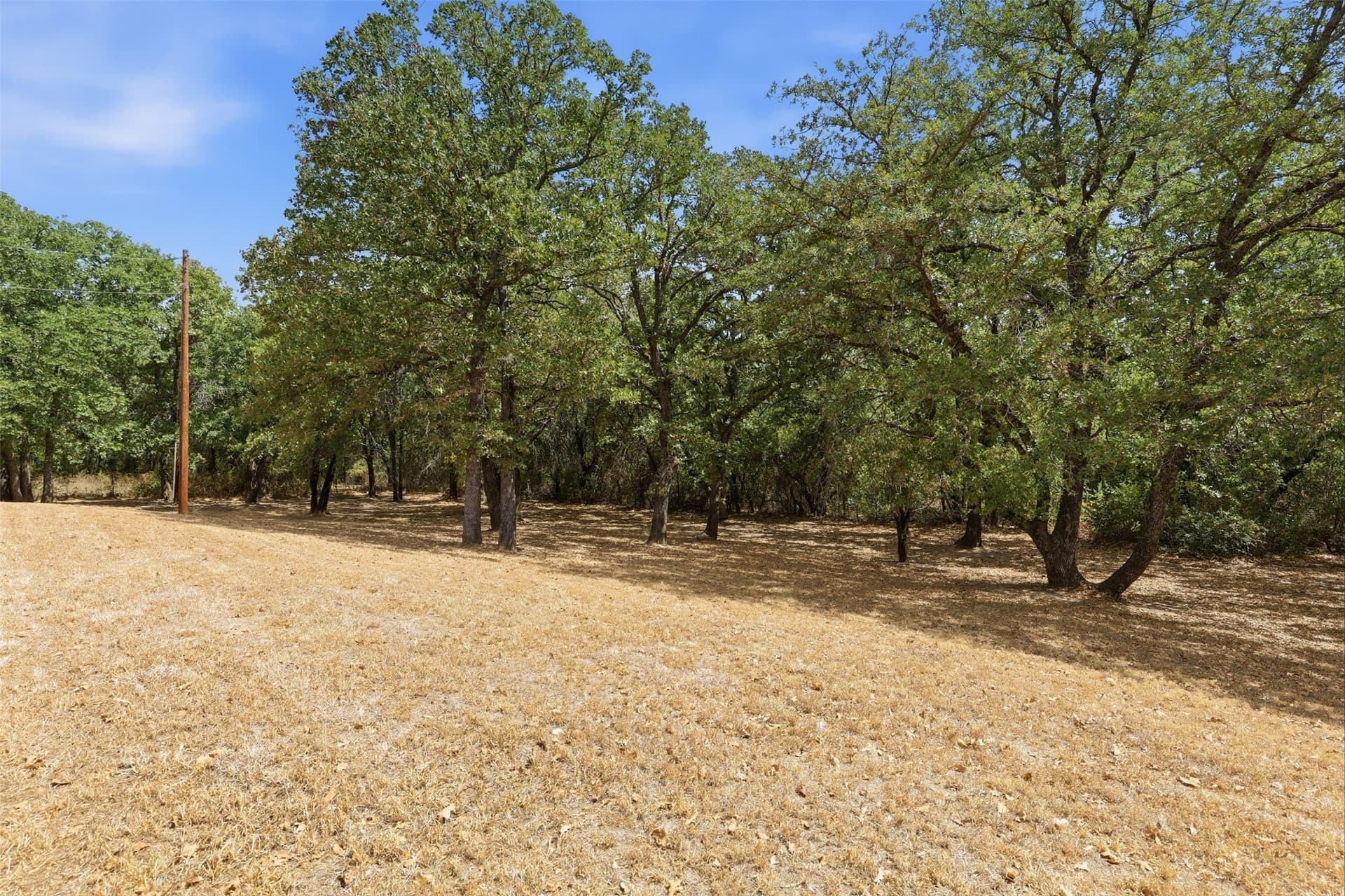 16.81 acres in Parker County - photo 29