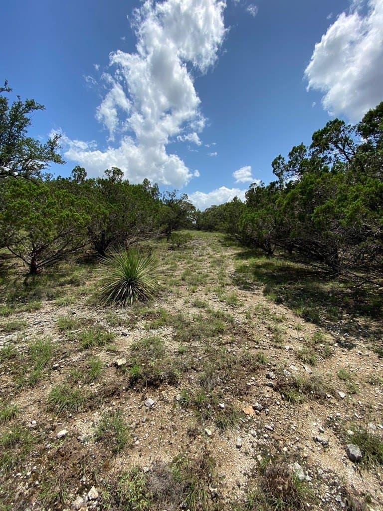 8.8 acres in Bexar County gallery image 3