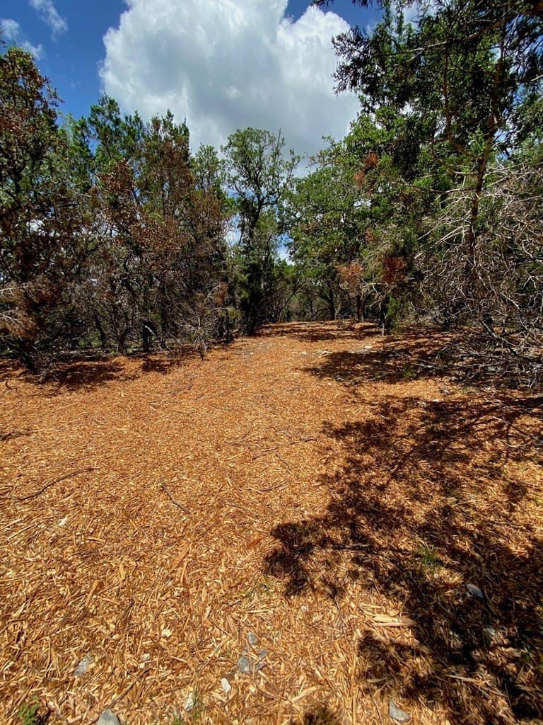 8.8 acres in Bexar County - photo 6