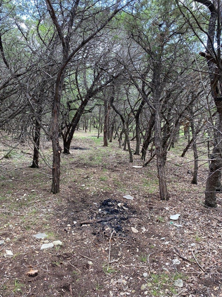 8.8 acres in Bexar County - photo 16