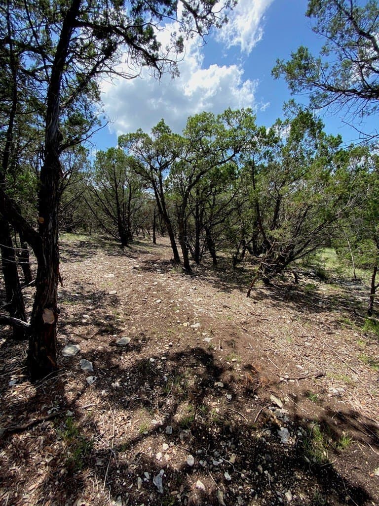 8.8 acres in Bexar County - photo 12