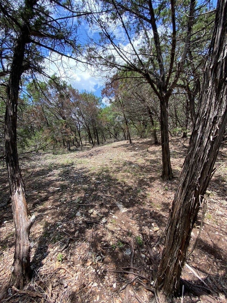 8.8 acres in Bexar County - photo 14