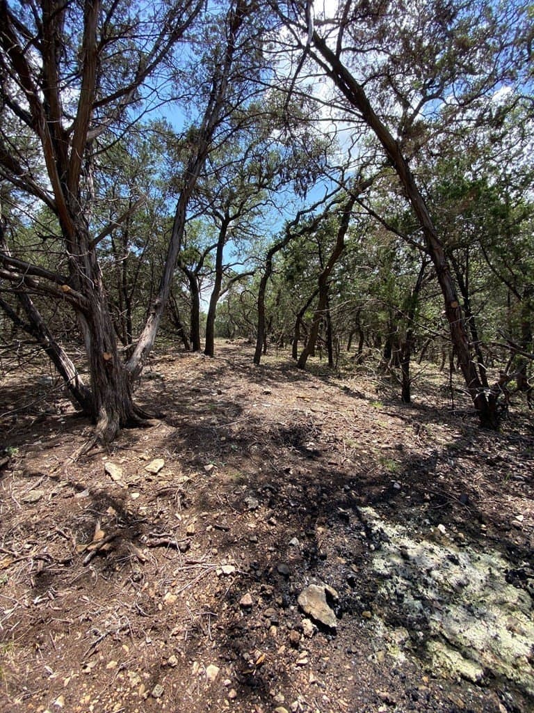 8.8 acres in Bexar County - photo 9