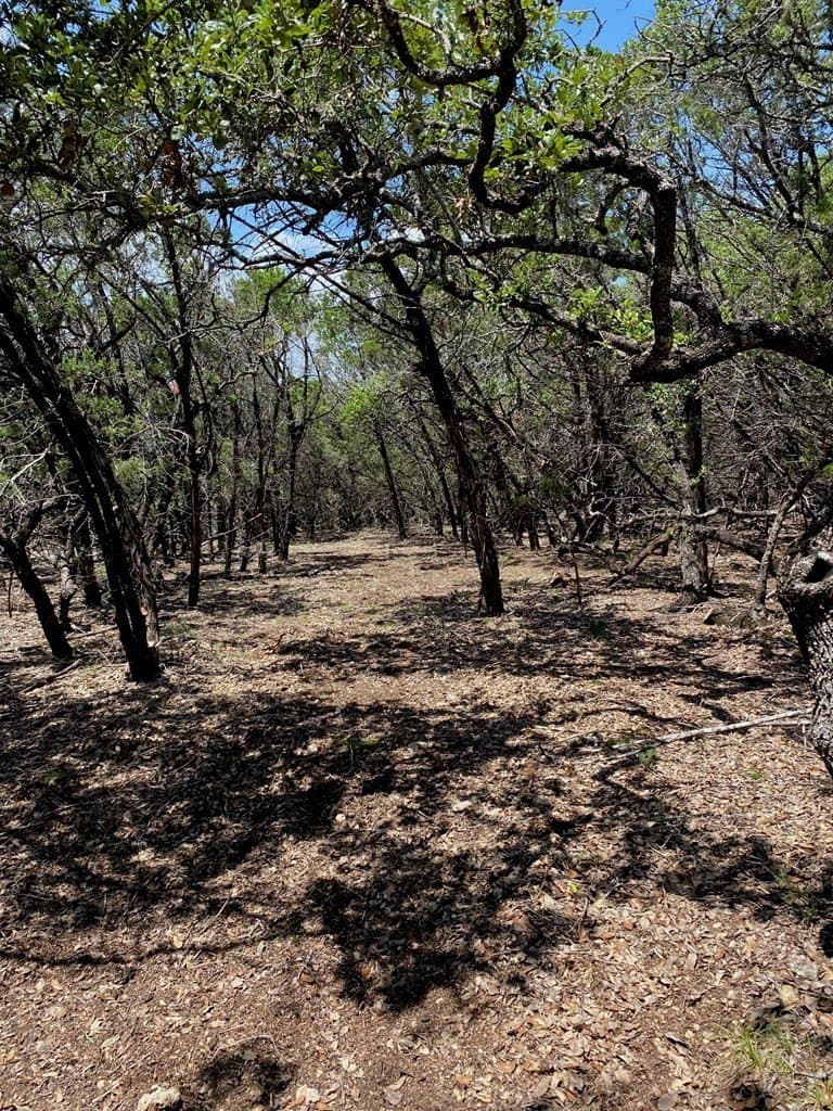 8.8 acres in Bexar County - photo 11