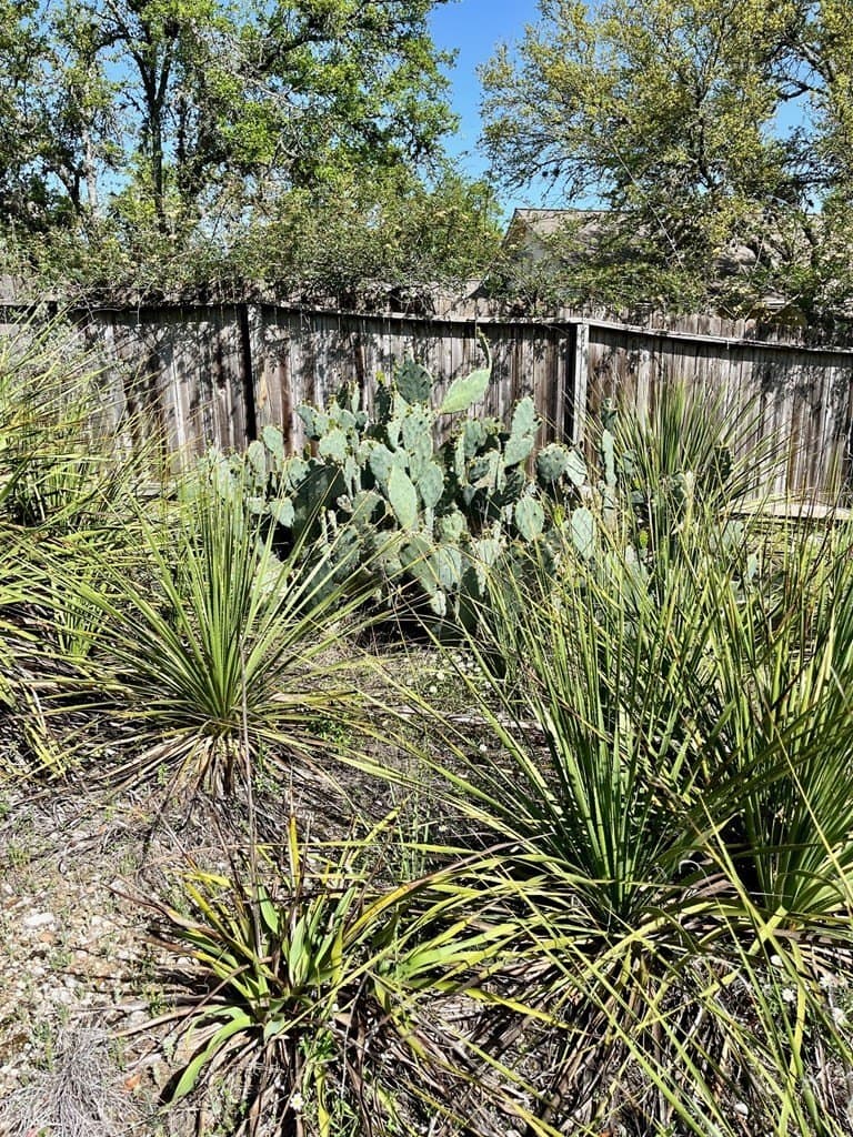 8.8 acres in Bexar County - photo 21