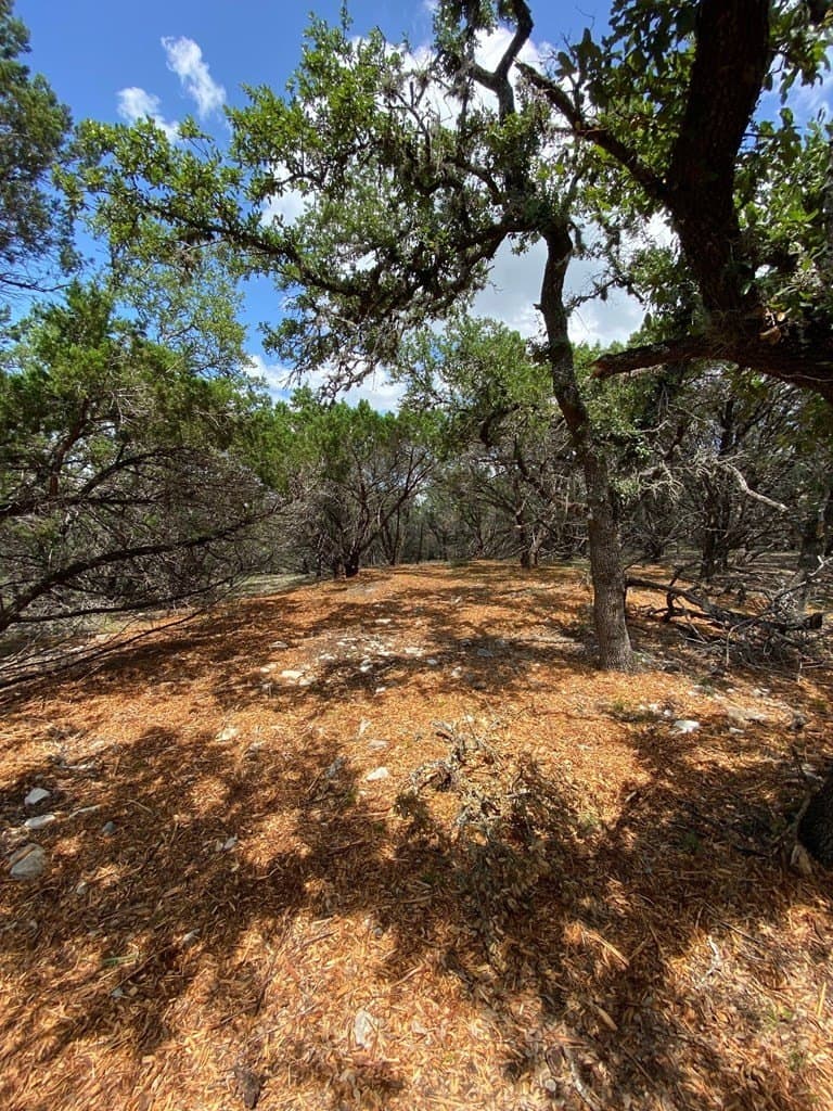 8.8 acres in Bexar County - photo 8