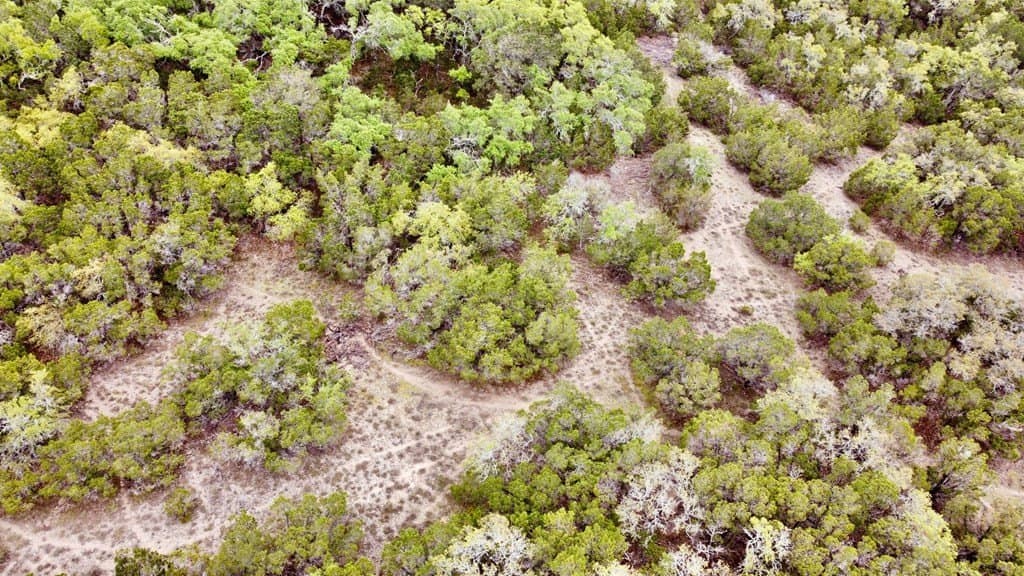 8.8 acres in Bexar County - photo 17