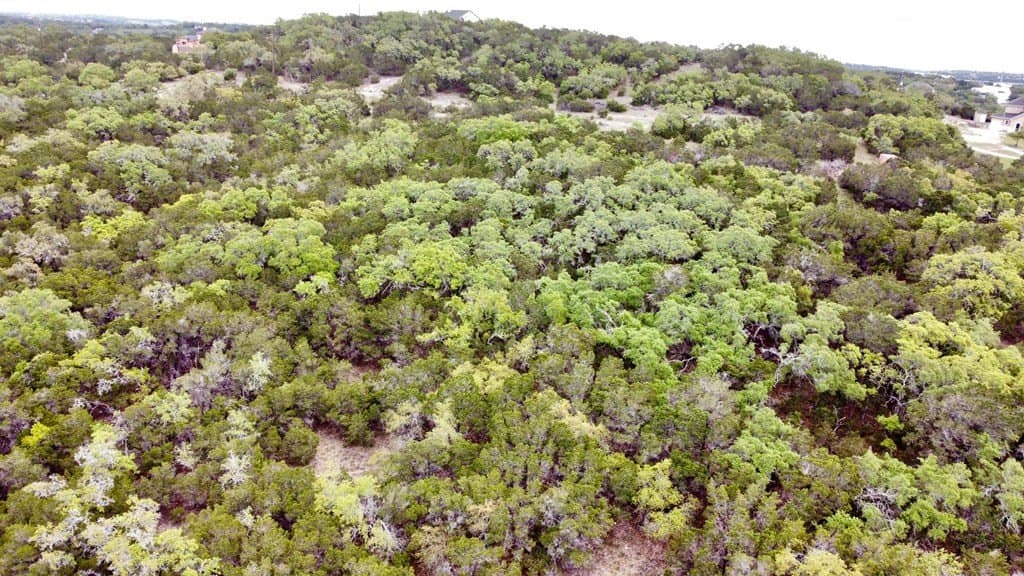 8.8 acres in Bexar County - photo 19