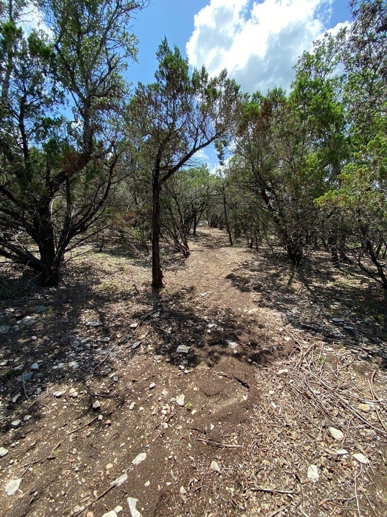 8.8 acres in Bexar County - photo 13