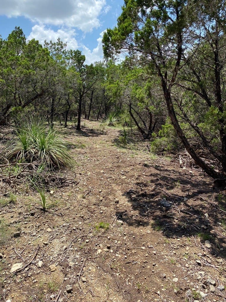 8.8 acres in Bexar County gallery image 4