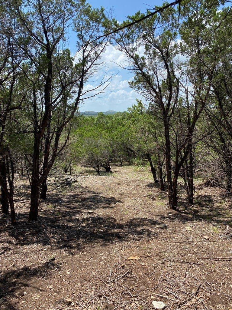 8.8 acres in Bexar County - photo 7