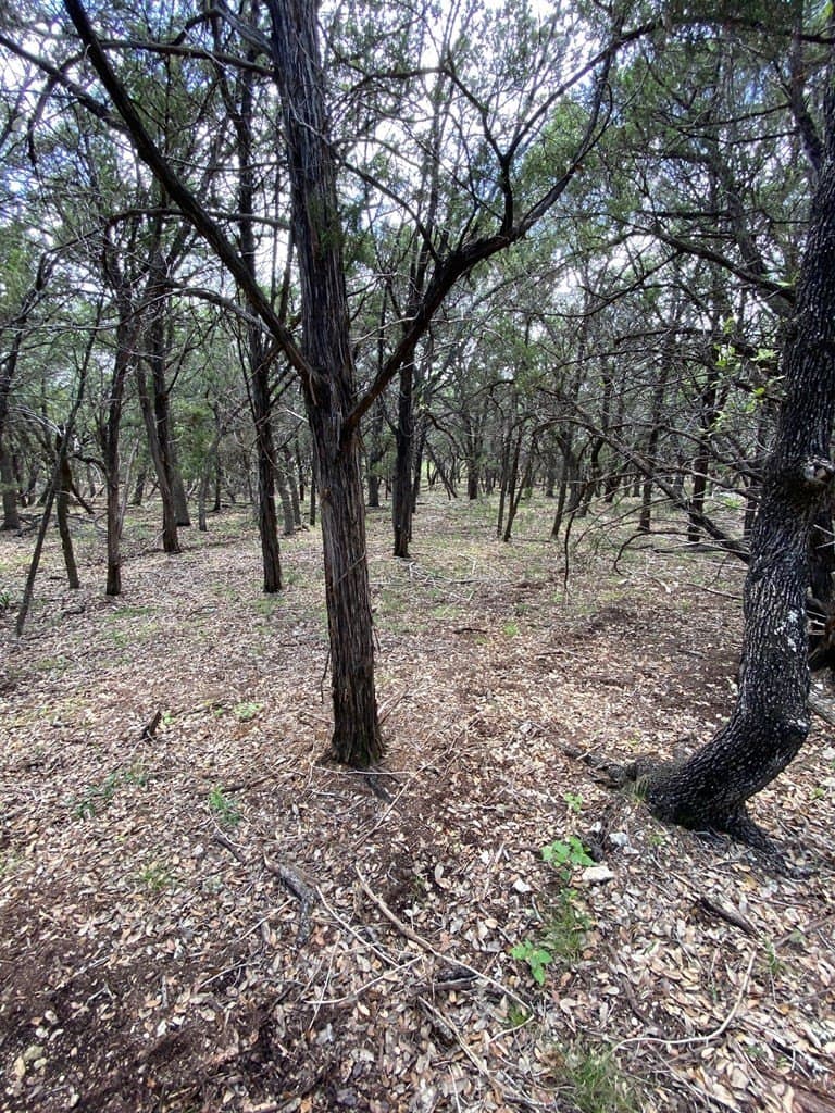 8.8 acres in Bexar County - photo 15