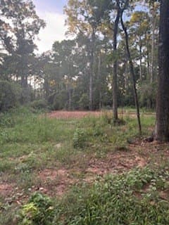 0.29 acres in Texas County gallery image 2