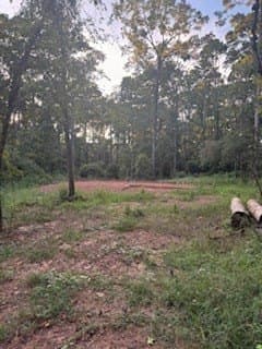 0.29 acres in Texas County gallery image 3
