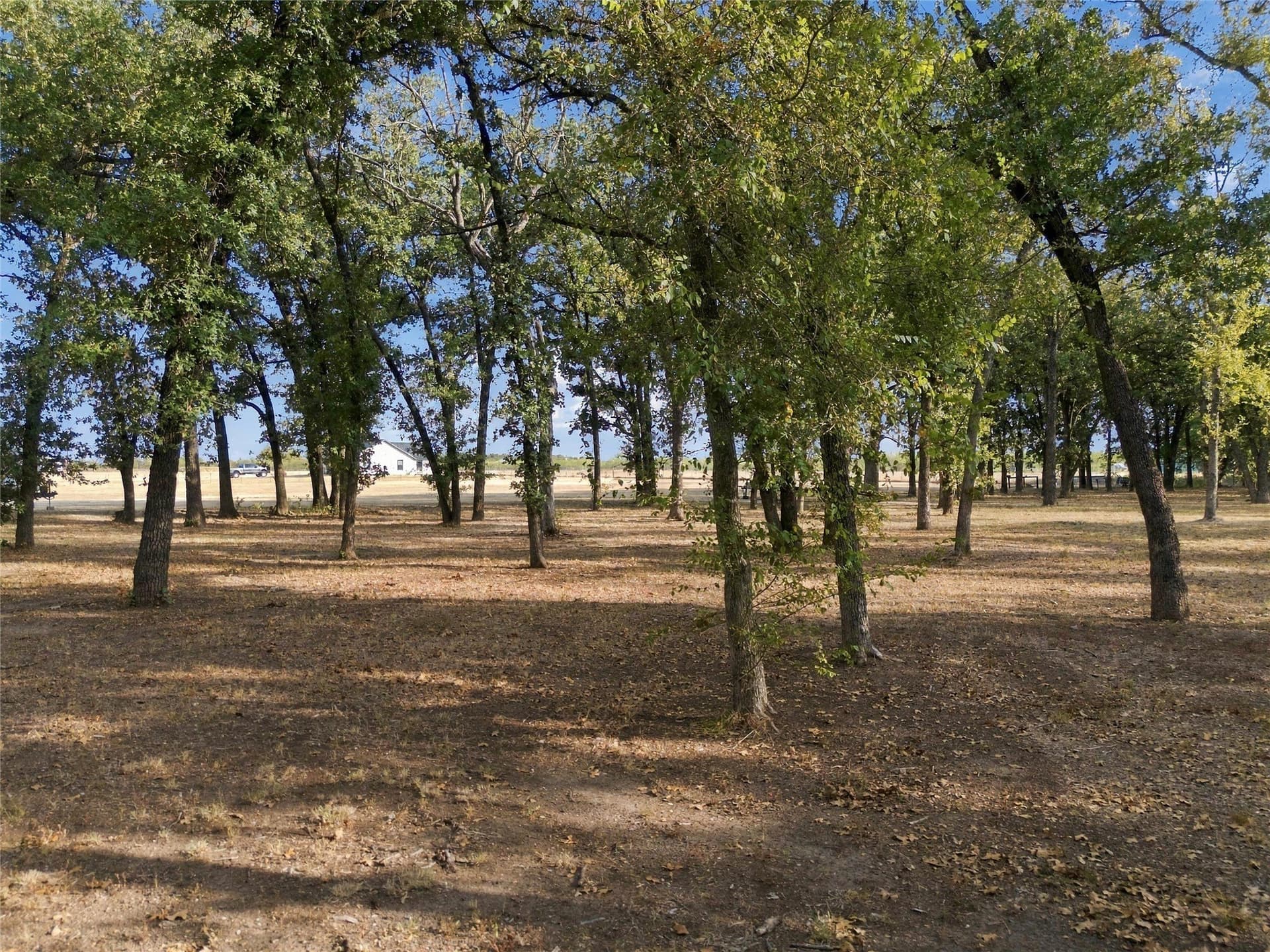 2.82 acres in McLennan County - photo 4