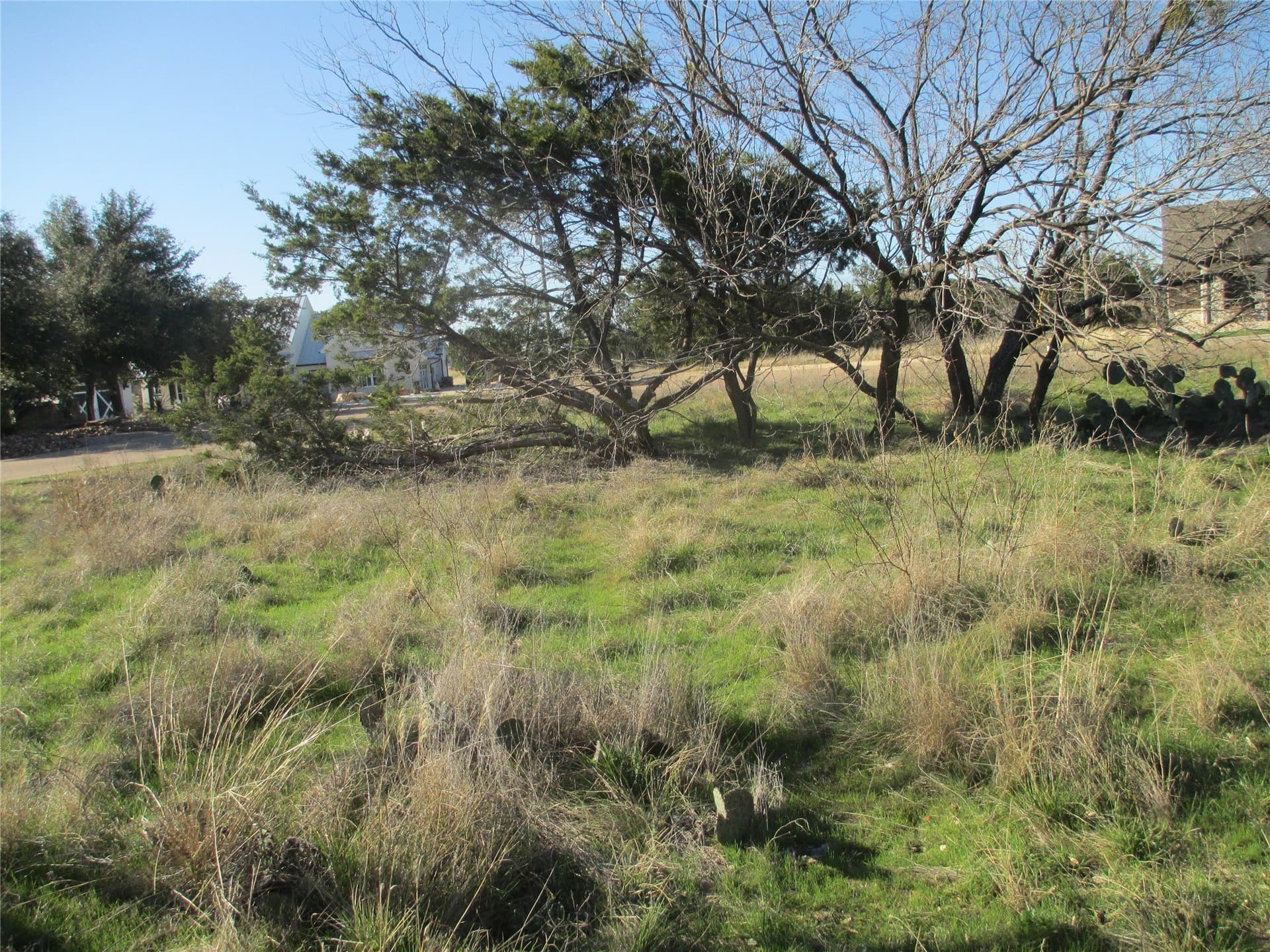 0.33 acres in Palo Pinto County - photo 3
