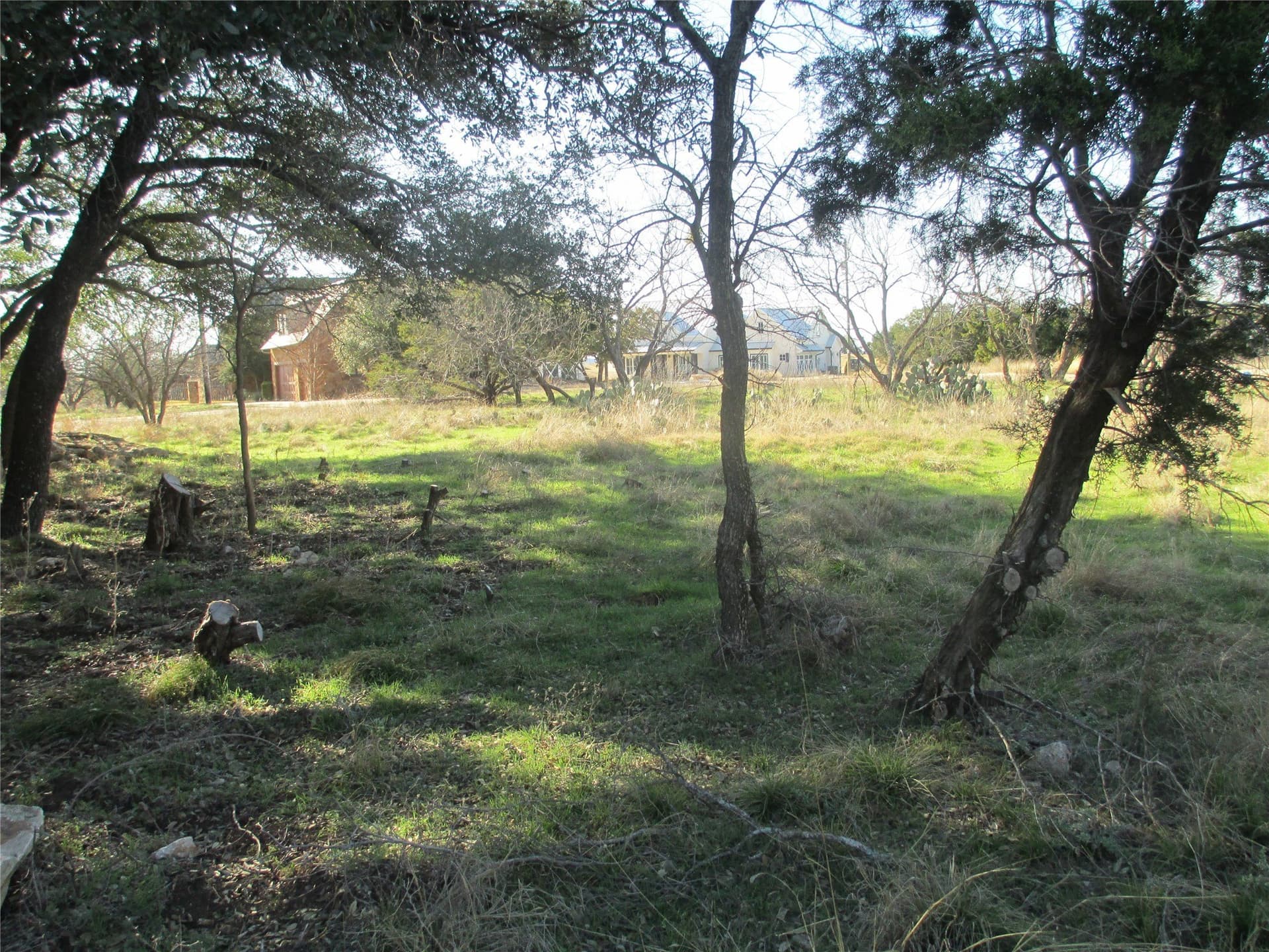 0.33 acres in Palo Pinto County - photo 2