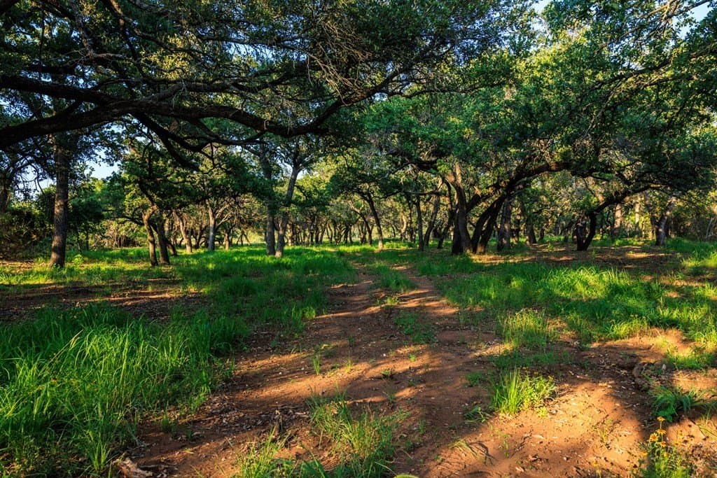 278 acres in Llano County - photo 30