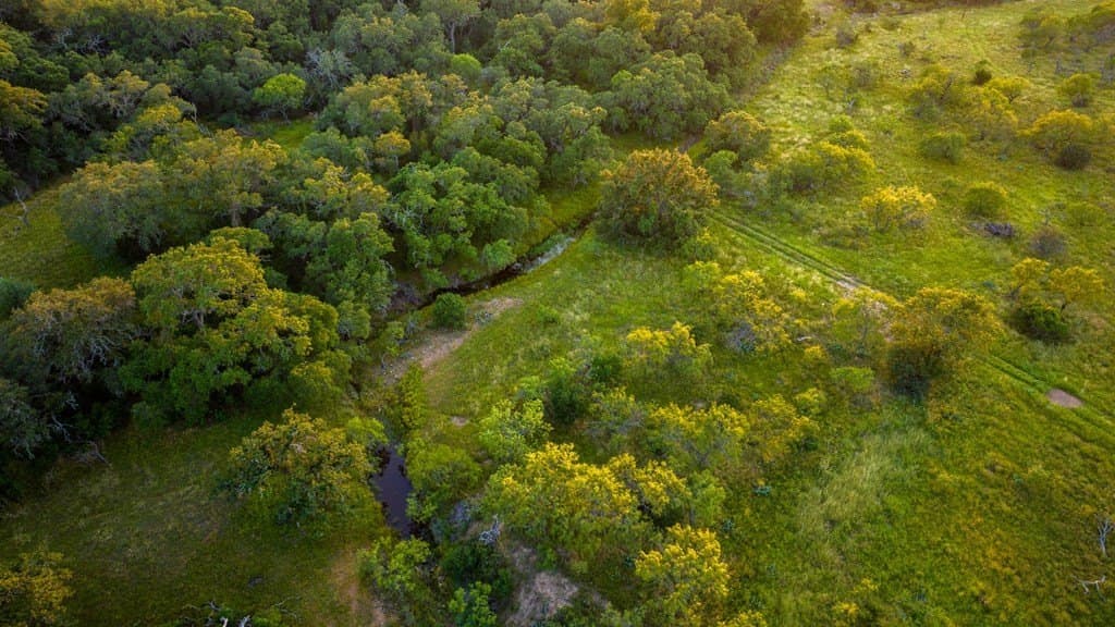 278 acres in Llano County - photo 11