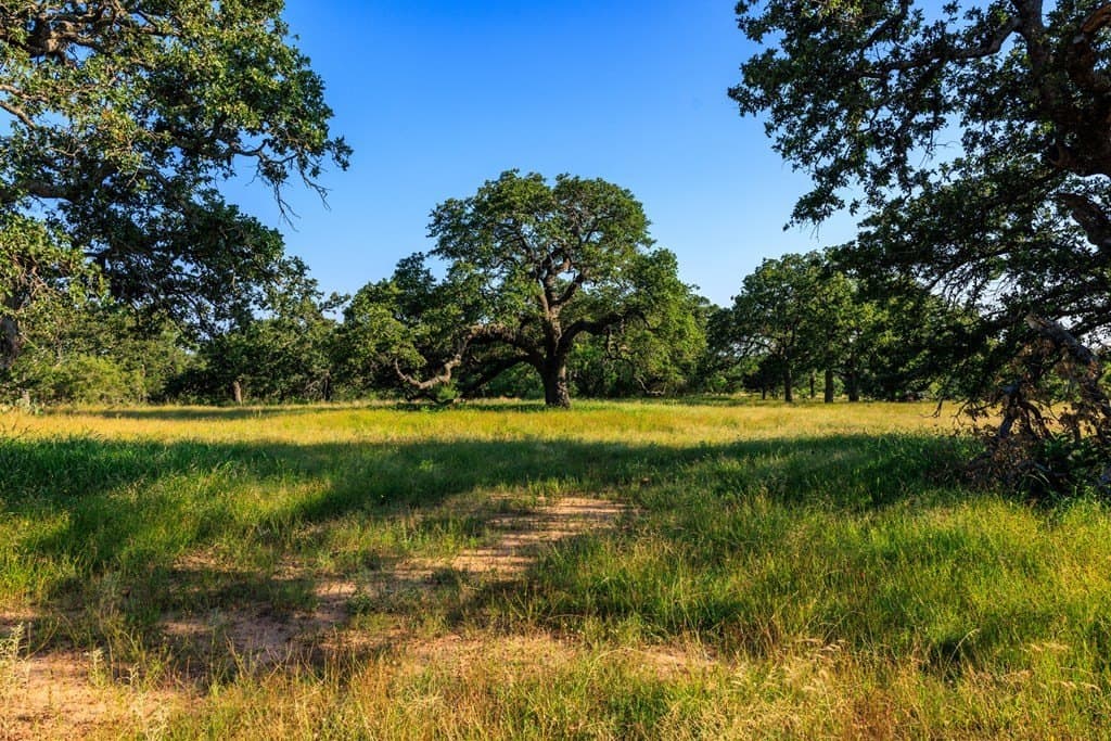 278 acres in Llano County - photo 27