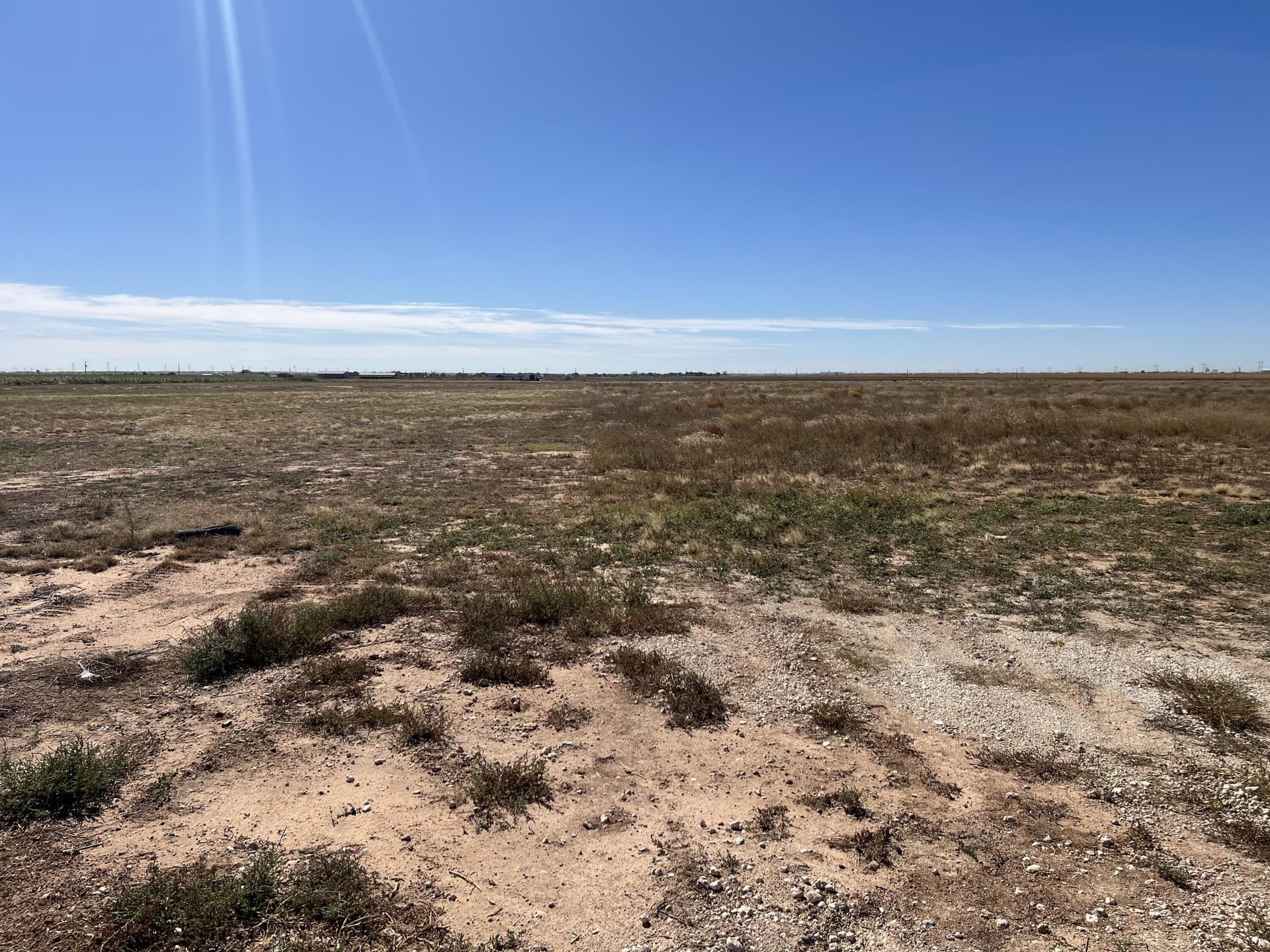 10.01 acres in Lubbock County gallery image 3