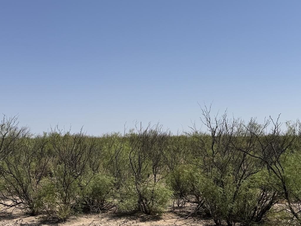 142.77 acres in Pecos County - photo 24