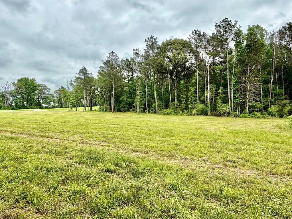 2.5 acres in Texas County - photo 12