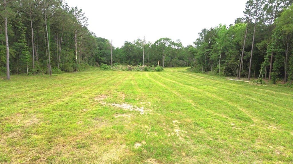 2.5 acres in Texas County - photo 8