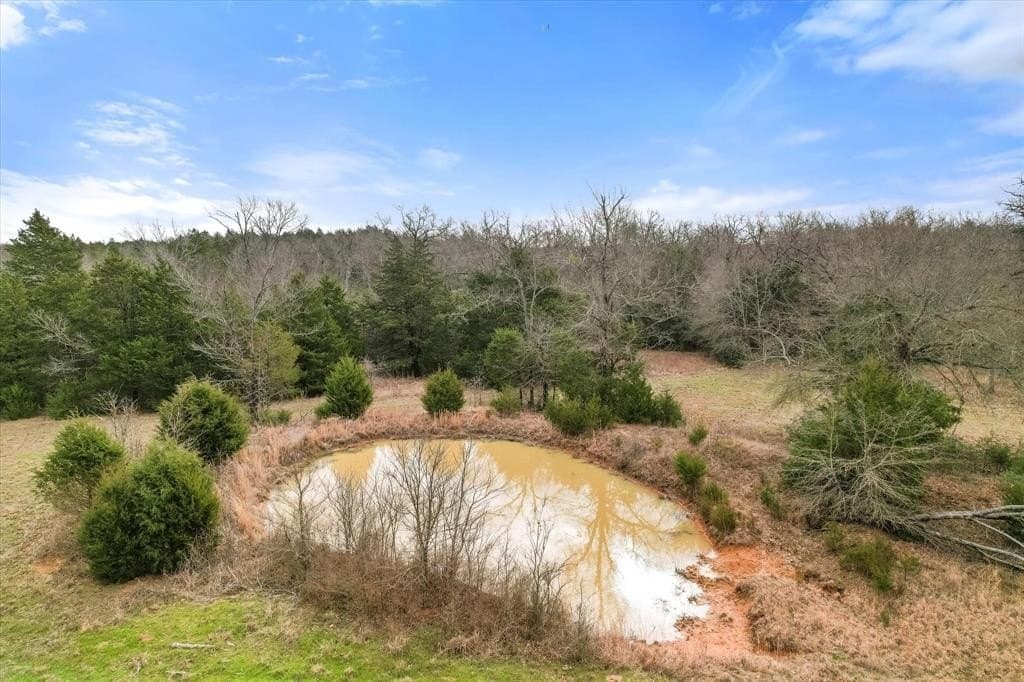 25.35 acres in Freestone County gallery image 3