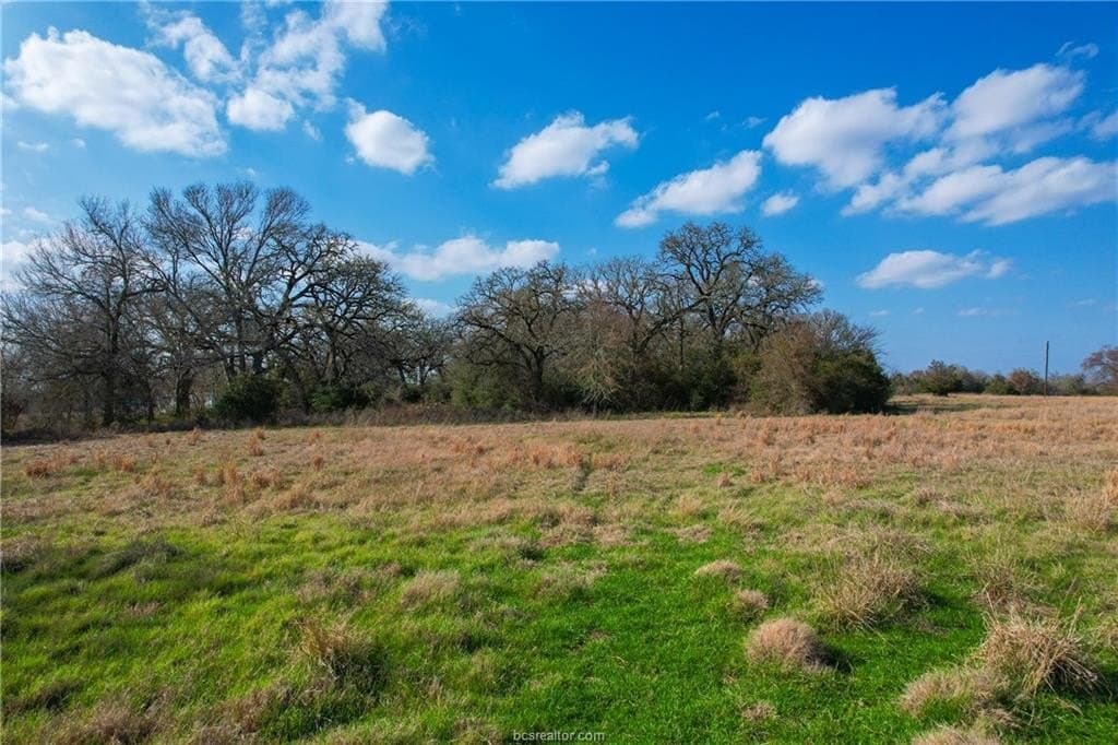 46 acres in Robertson County - photo 10