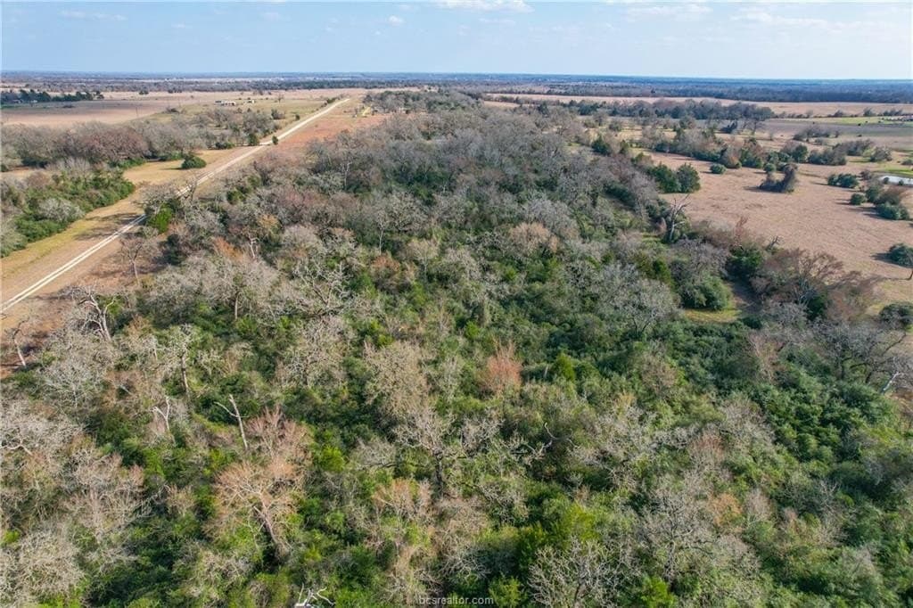 46 acres in Robertson County - photo 15