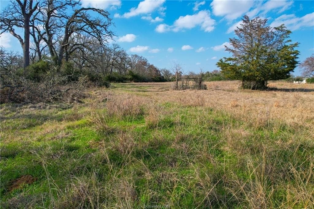 46 acres in Robertson County - photo 21