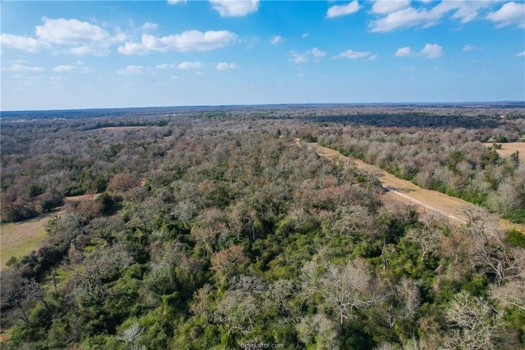 46 acres in Robertson County featured view