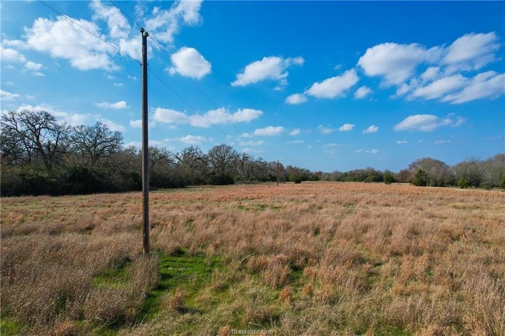 46 acres in Robertson County - photo 11