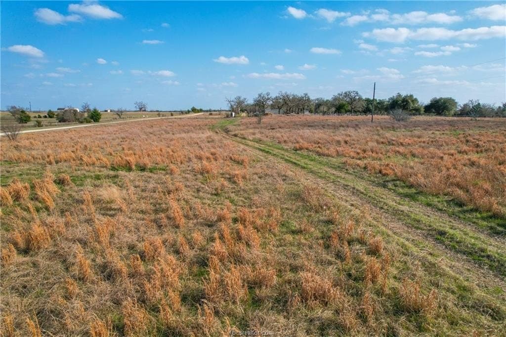 46 acres in Robertson County - photo 17