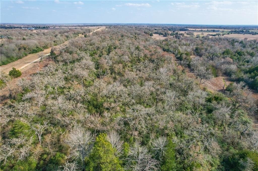 46 acres in Robertson County - photo 24