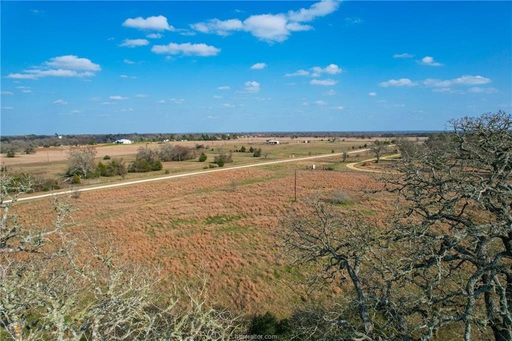 46 acres in Robertson County - photo 13