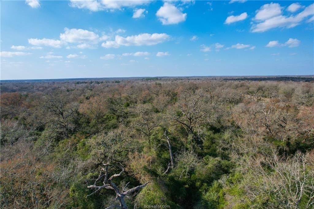 46 acres in Robertson County - photo 14