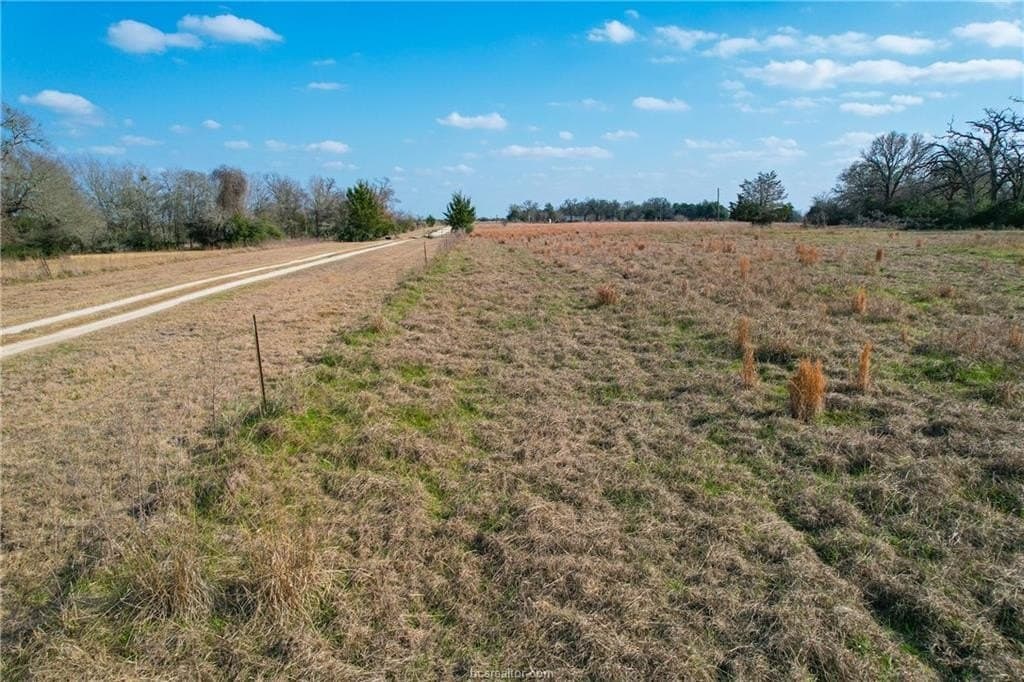 46 acres in Robertson County - photo 20