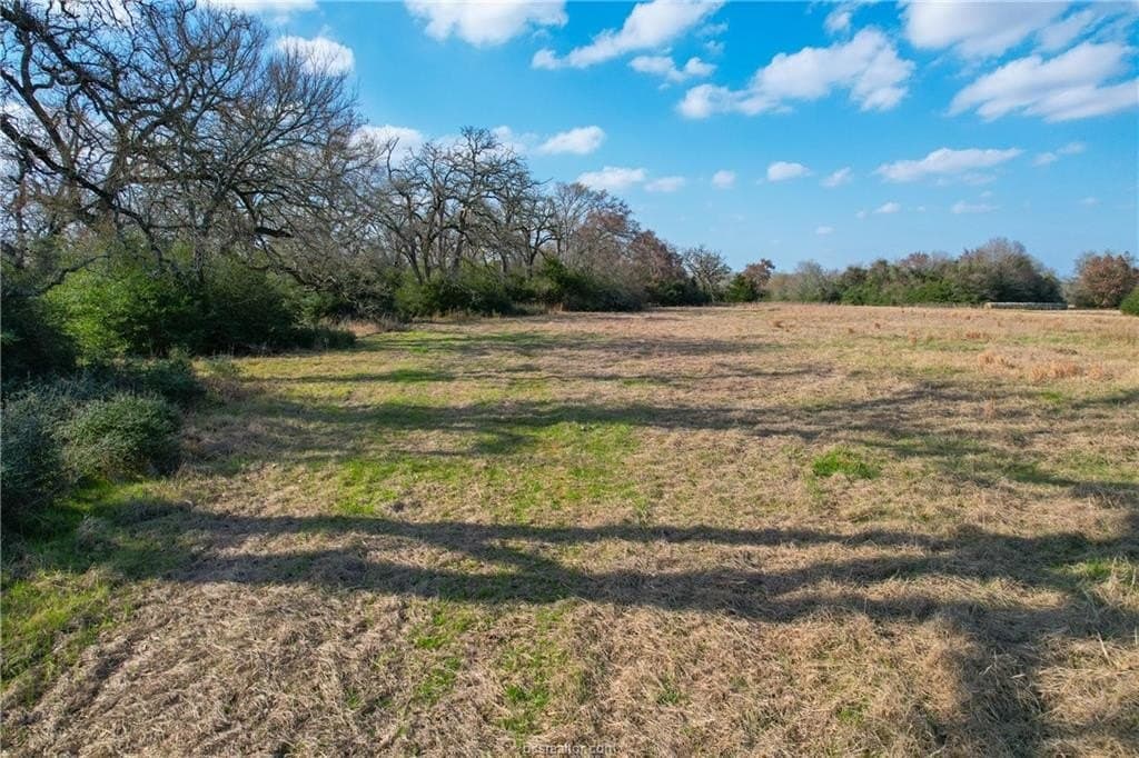 46 acres in Robertson County - photo 7