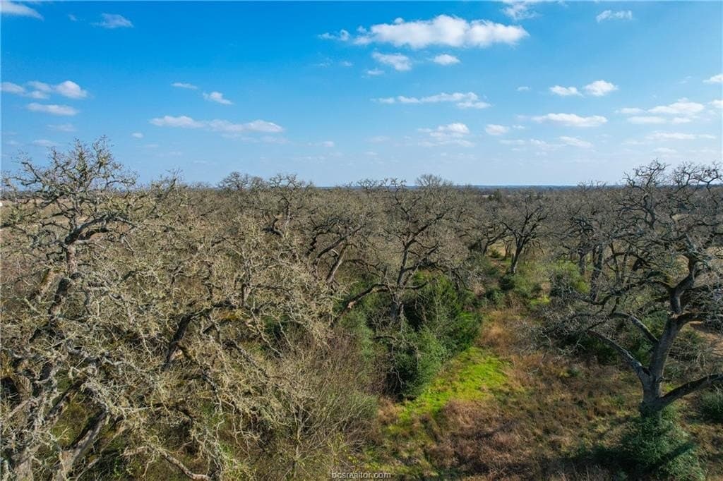 46 acres in Robertson County - photo 9