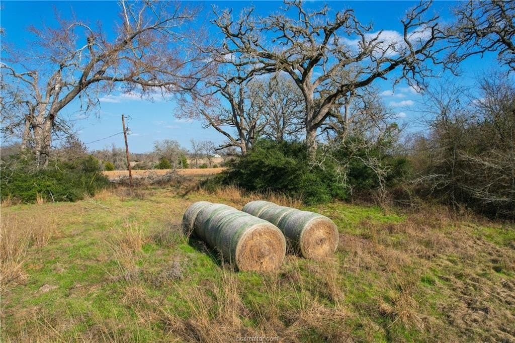 46 acres in Robertson County - photo 23