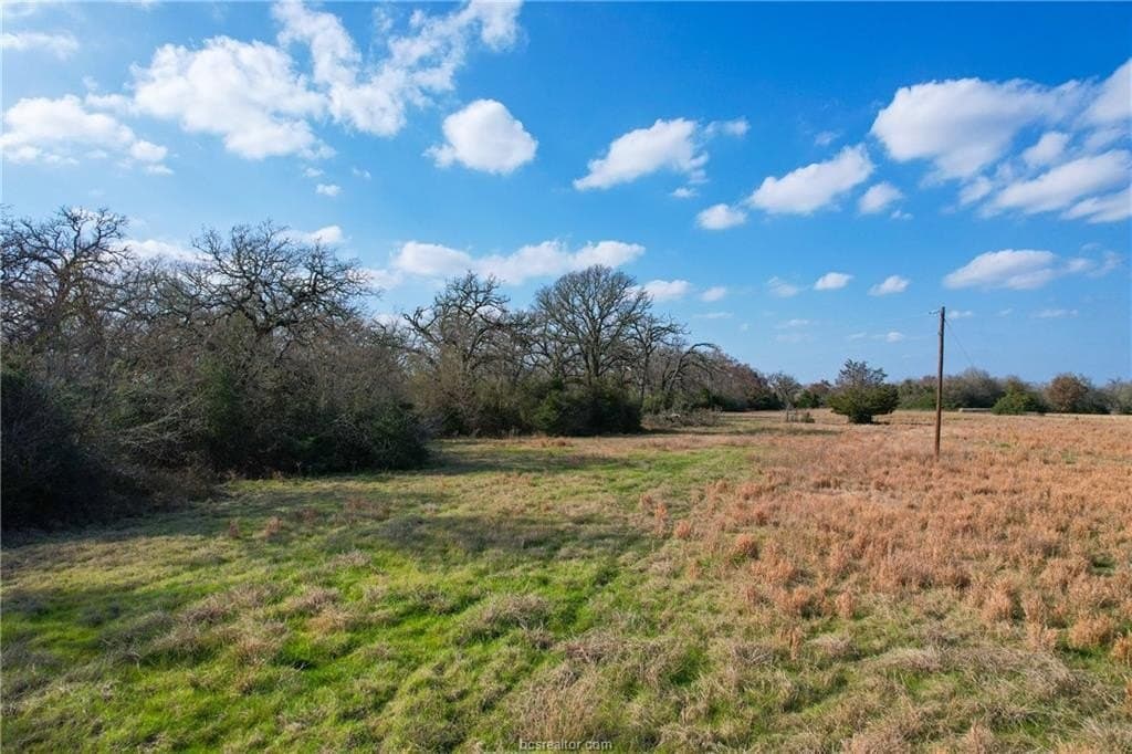 46 acres in Robertson County - photo 12