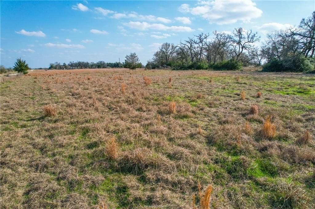46 acres in Robertson County - photo 16