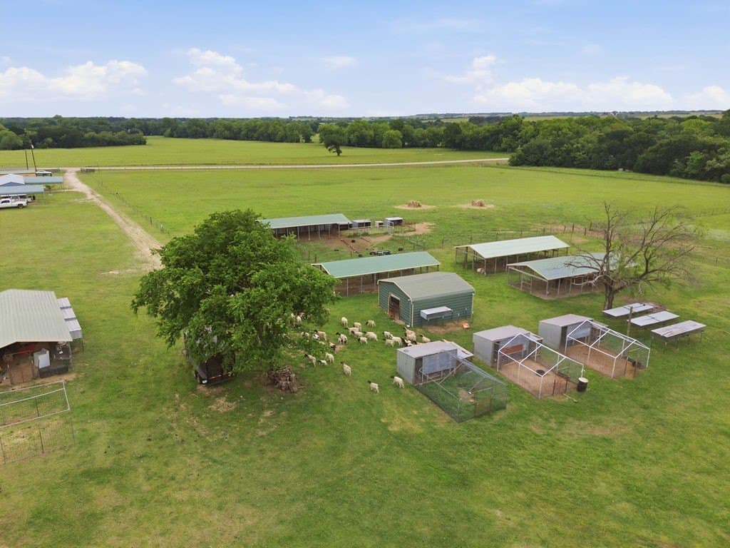 25 acres in Hill County gallery image 3