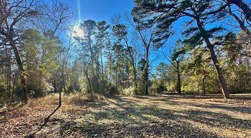 33.29 acres in Anderson County featured view